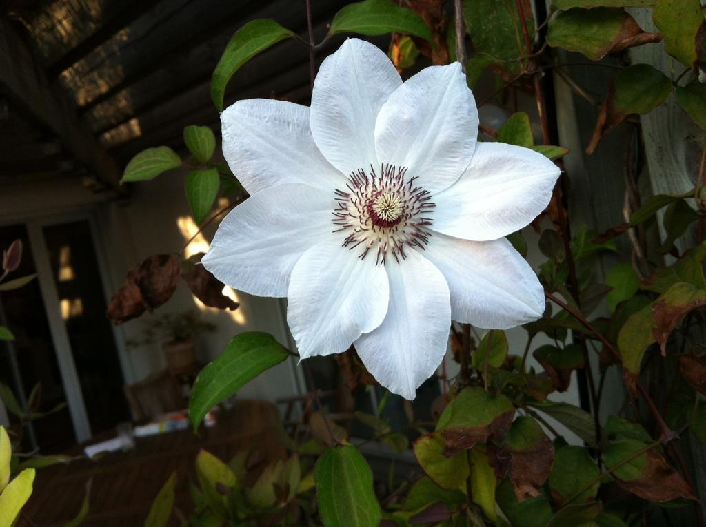 Calme Et Nature, Ba 구장메스트라 객실 사진